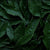 Hintergrund mit grünen Blätter